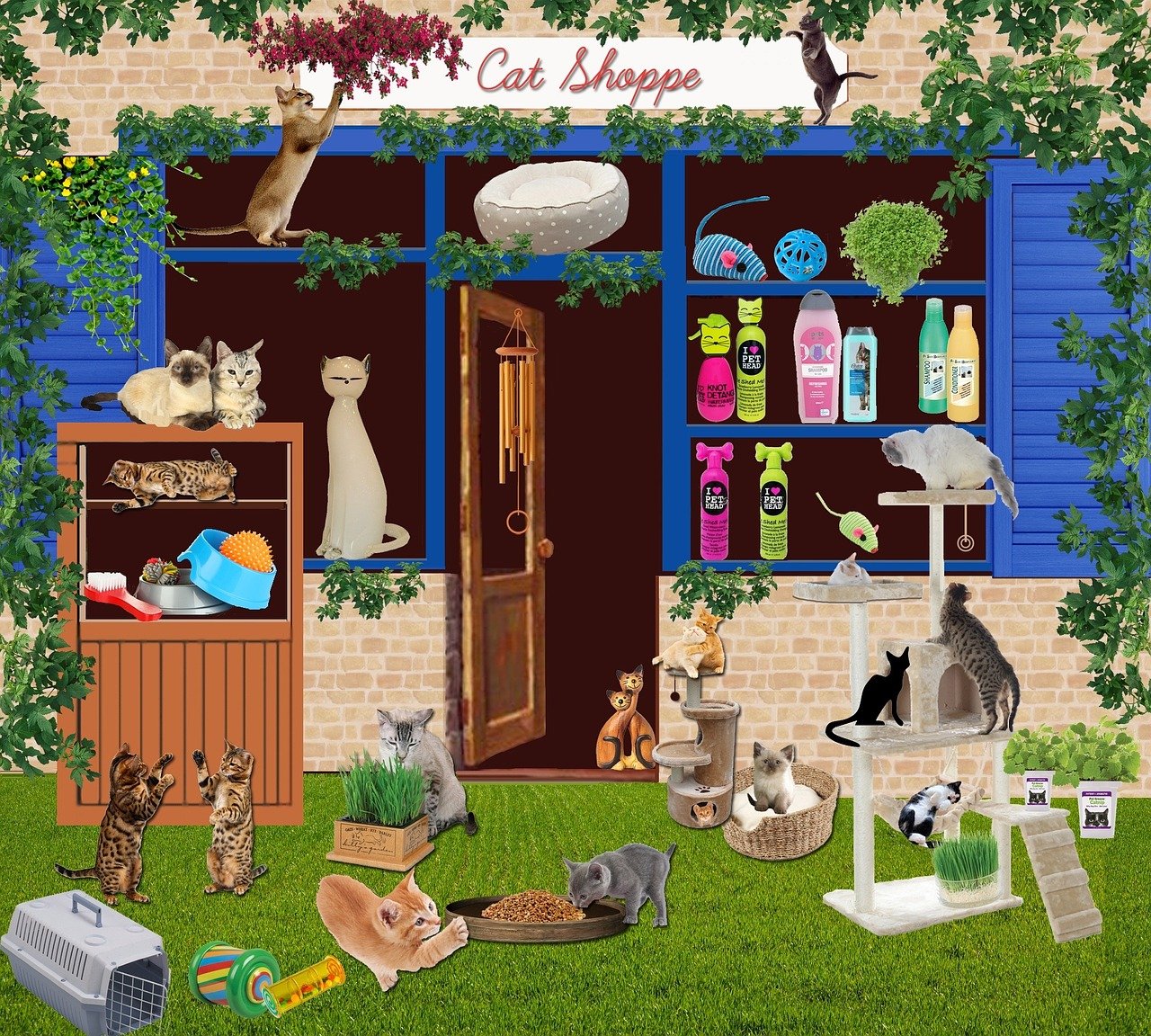 entdecken sie alles über catnip: wirkung auf katzen, anwendungsmöglichkeiten und tipps zur sicheren verwendung. jetzt mehr über diese faszinierende pflanze erfahren!