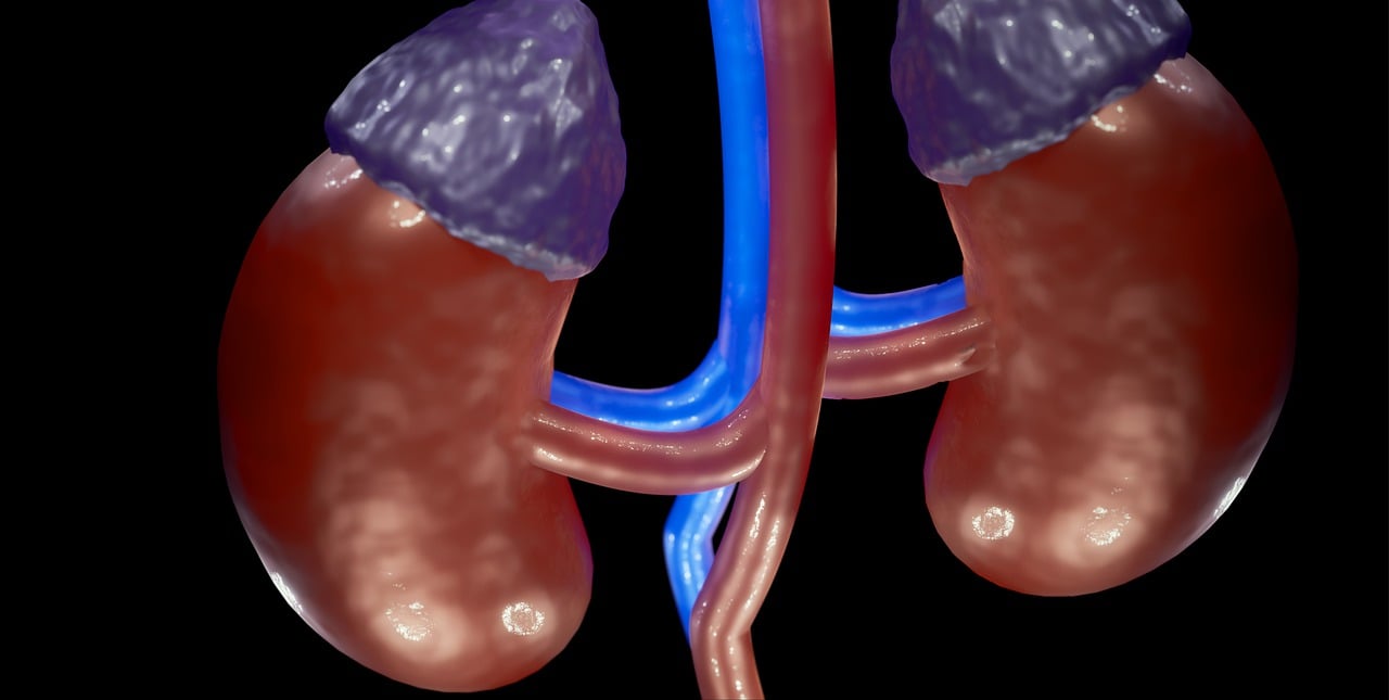erfahren sie alles über nebenniereninsuffizienz: ursachen, symptome, diagnose und moderne behandlungsmöglichkeiten. entdecken sie hilfreiche tipps und aktuelle informationen rund um die nebennierenschwäche.