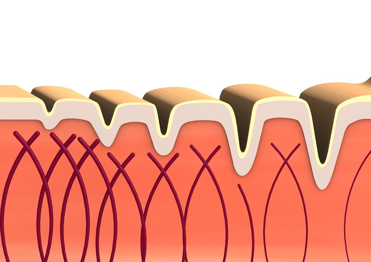 entdecken sie die vorteile von kollagen für haut, haare und gelenke. erfahren sie mehr über die wirkung, anwendung und warum kollagen ein wichtiger bestandteil ihrer gesundheit sein kann.