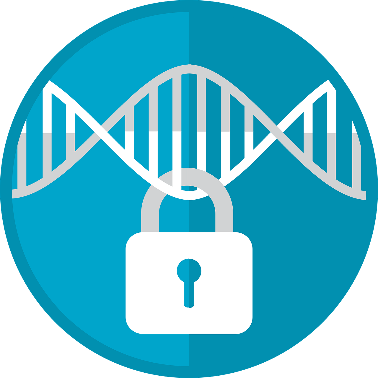 erfahren sie alles über datenschutz, sicherheitsmaßnahmen und den schutz ihrer persönlichen daten im digitalen zeitalter. entdecken sie hilfreiche tipps und aktuelle informationen zum thema privacy.