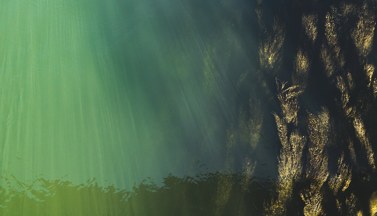 entdecken sie die faszinierende welt der unterwasserkommunikation – erfahren sie, welche technologien für die datenübertragung unter wasser genutzt werden und wie diese die meeresforschung und den tauchsport revolutionieren.