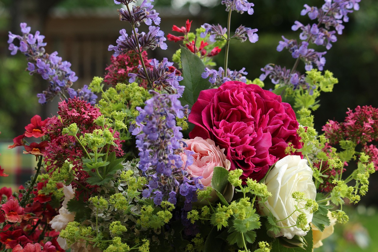 entdecken sie die welt von catnip – der natürlichen spiel- und genussquelle für ihre katzen. fördern sie das wohlbefinden und die aktivität ihrer lieblinge mit hochwertigem catnip.