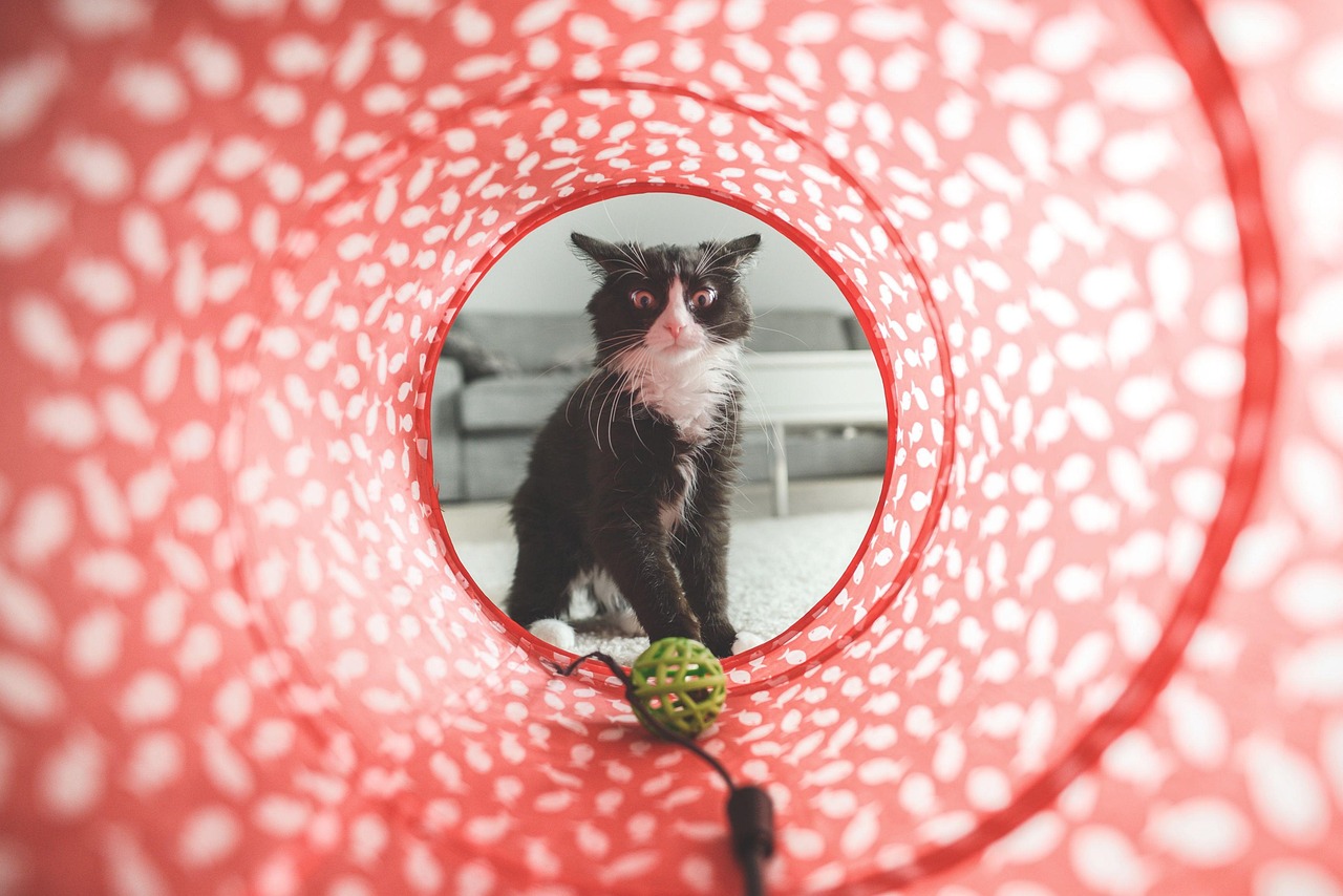 Welche verschiedenen Katzenpuck-Größen gibt es?