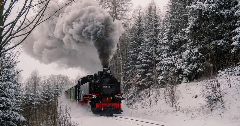 Was fressen Pferde im Winter?