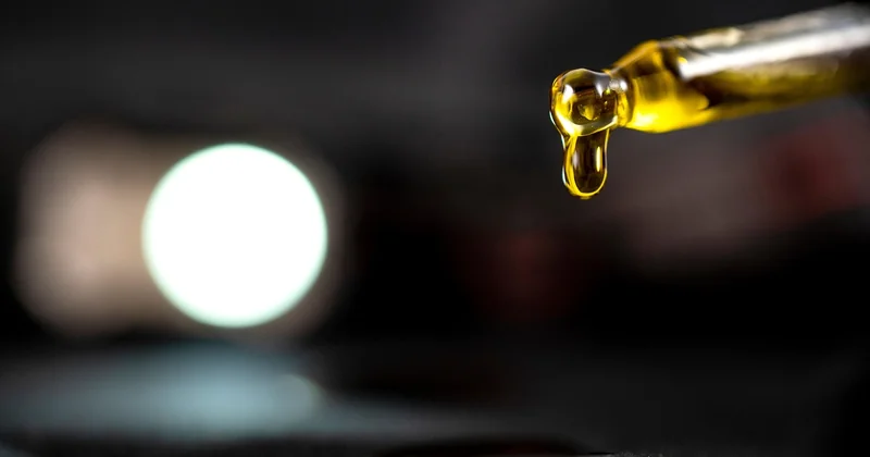Was dm 2019 mit seinem CBD-Öl gemacht hat